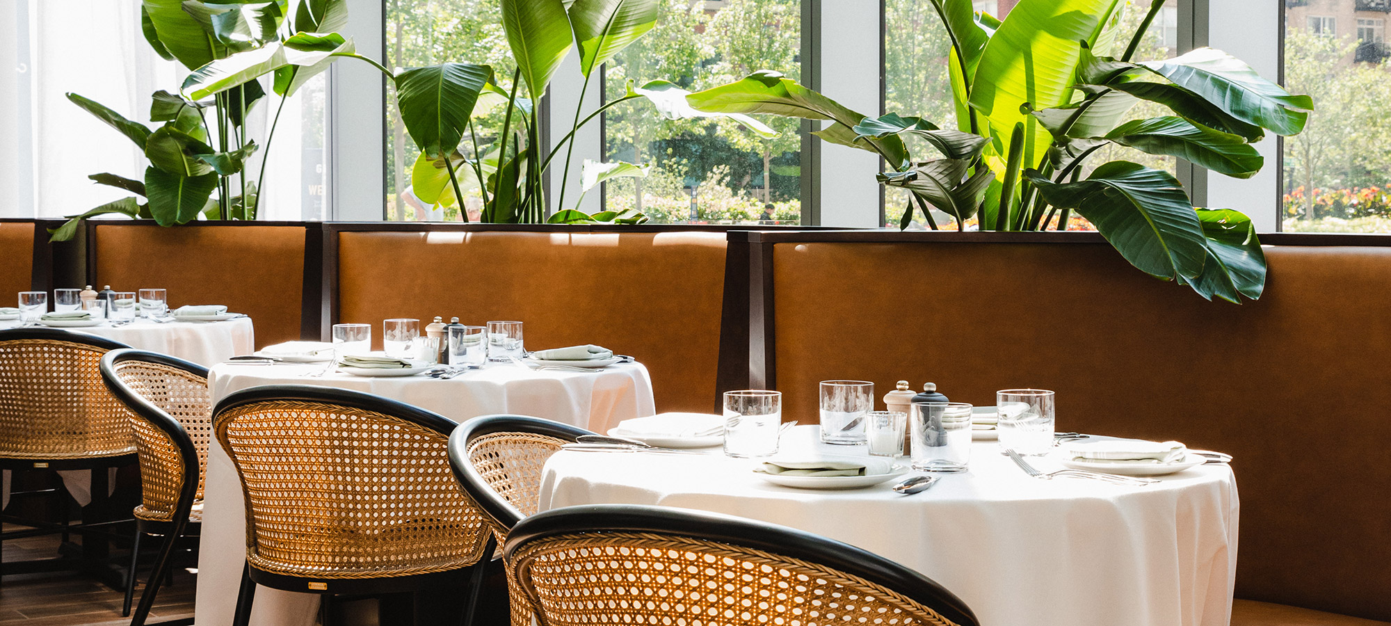A luxe restaurant with woven wicker chairs and big indoor plants